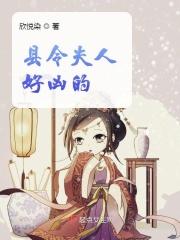 县令夫人探案手扎
