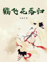鹤归常带白云来的意思