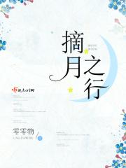 月间摘星的下一句