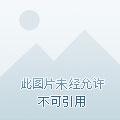 未知降临我有无敌领域