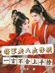 将军夫人的