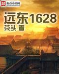 远东1628读后感