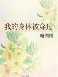 我的身体被穿过by珊瑚树