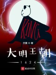 大明王朝1620