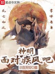 面对疾风吧dj版