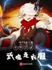 斗罗之我的武魂是魂环全文免费