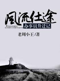风流仕途:办事员升迁记